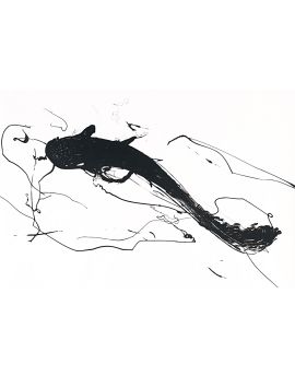 Fish Swimming In River By Wang Junsen