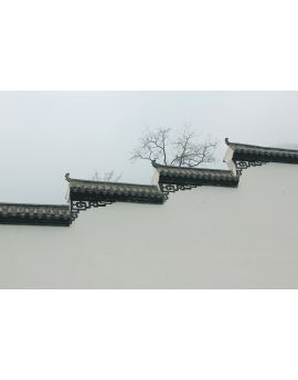 Green Tiles And White Walls By Wang Peiguang