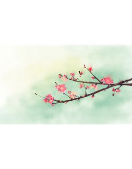 Plum Blossom By Xi Mu