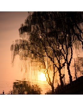 Sunrise Reflection In Lake By Yan Jun