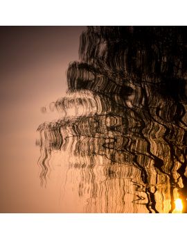 Ripple Reflections By Yan Jun
