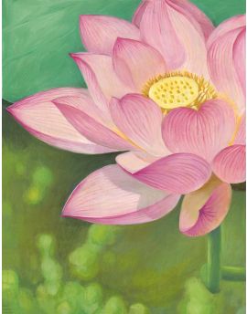 Summer Of Lotus By Yang Gang