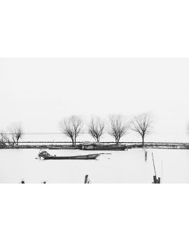 Bleak Lake By Yang Wenxian