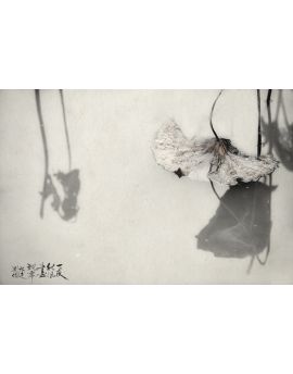After Autumn Winds By Zhang Shu