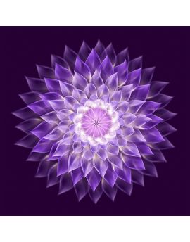 Lotus Blossom By Chen Zhan