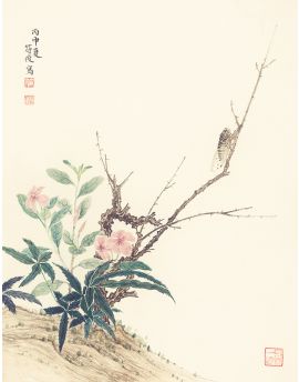 Cicada By Fu Jun