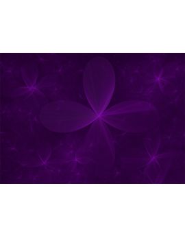 Purple Patterns By Li Lulu
