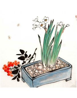 A Potted Daffodils 1