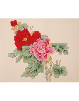 Red And Pink Peonies