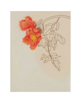 An Orange Peony