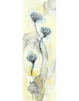 Seedpods Of The Lotus 1