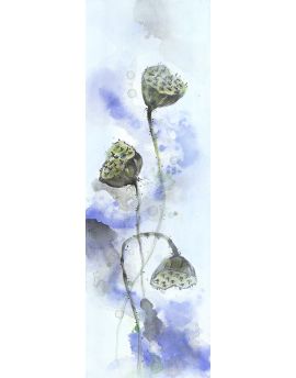 Seedpods Of The Lotus 3