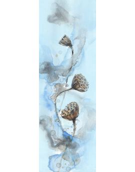 Seedpods Of The Lotus 4