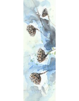 Seedpods Of The Lotus 7