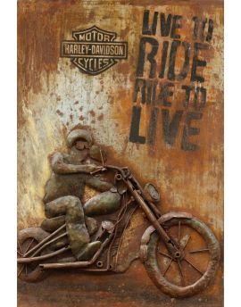 Man Riding Motorcycle Ⅱ