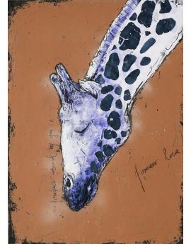 Portrait Of Giraffe Head Ⅱ