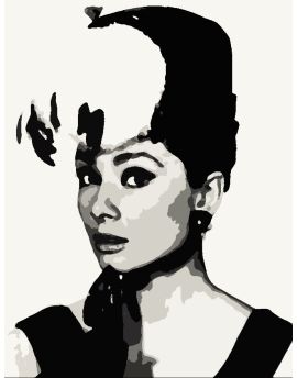 Portrait Of Audrey Hepburn Ⅳ