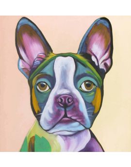 Colorful French Bulldog