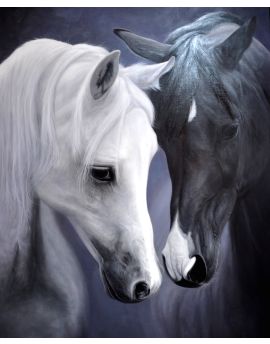 Intimated White And Black Horses