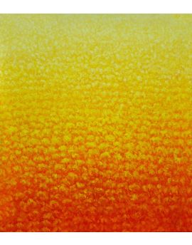 Orange And Yellow Woods