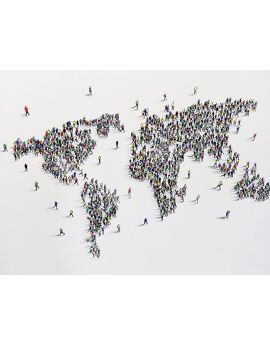 The World Map Ant Men Art