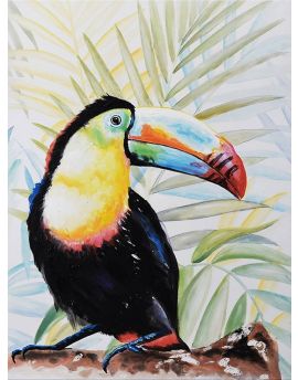 A Toucan