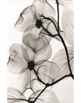 Skeleton Flower