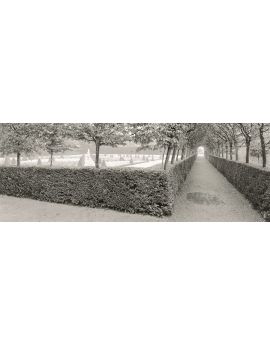City Park
