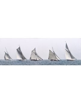 Sailing Boats On Sea