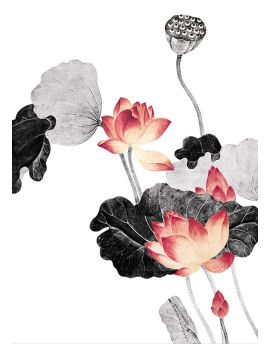 Chinese Ink Painting Lotus Flower