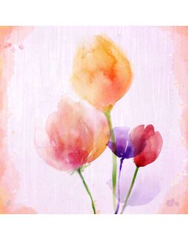 Bright Color Tulips