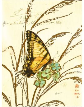 Yellow Butterfly