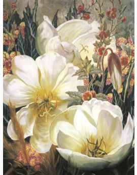 Big White Peonies