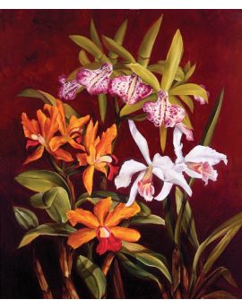 Orchid II