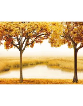 Autumn Trees