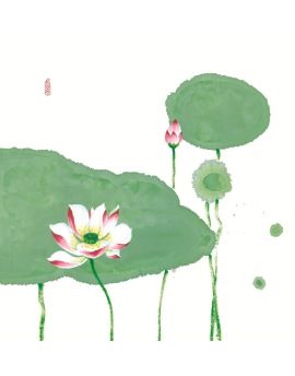 Lotus Pond