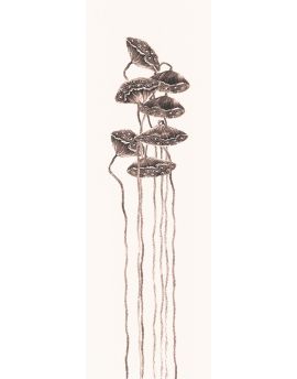 Seedpods Of Lotus