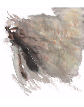Butterfly Wings