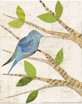 Blue Bird In Spring