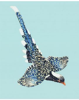 Bird Flying With Wings Spreading