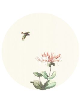 Bird And Pink Honeysuckle