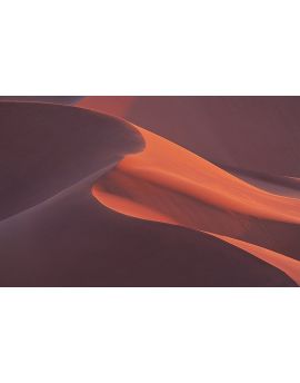Sand Dune