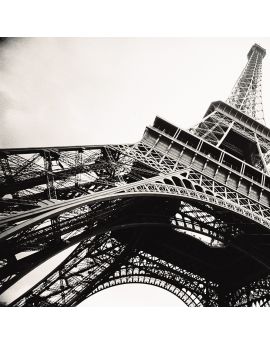 Eiffel Tower In Black And White