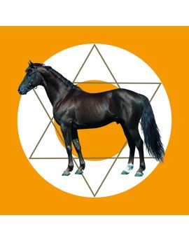 Black Horse On Star Background