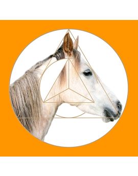 White Horse With Long Mane