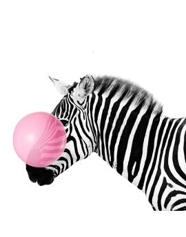 Zebra And Pink Bubble
