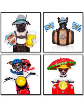 Bavarian Dogs And Riding Dogs