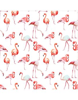Flamingoes In Various Poses