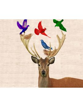 Deer And Birds