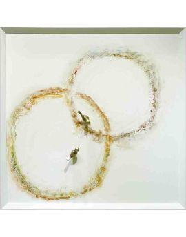3D Birds On Golden Rings